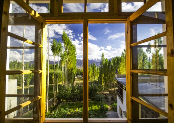 Cost of Wood Window Replacement in Edison