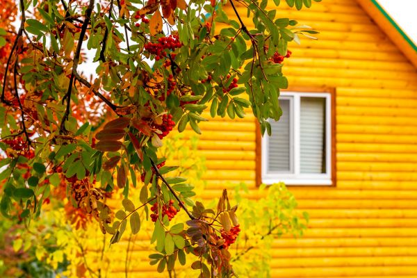 Cost of Garden Window Replacement in Edison